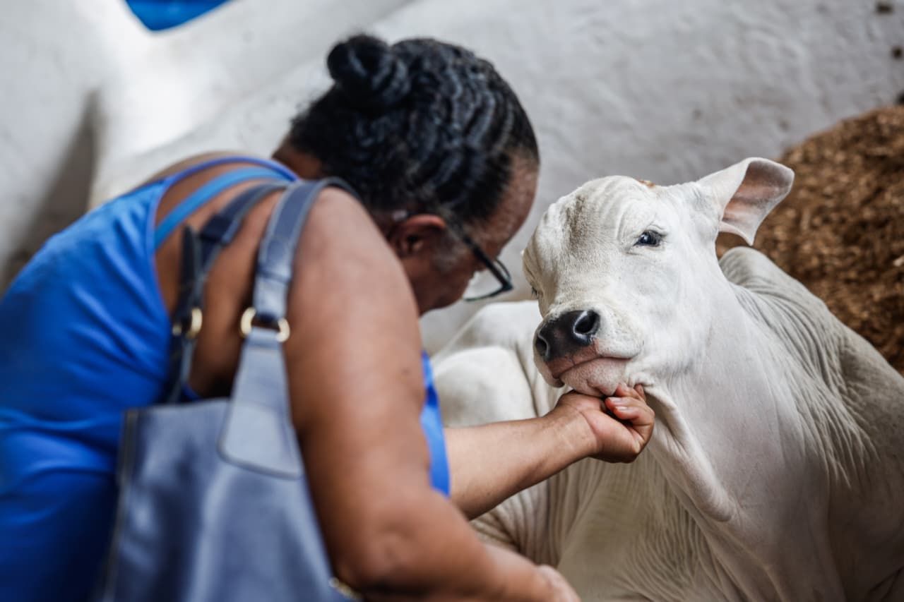 Fenagro 2025 tem programação gratuita voltada para toda a família